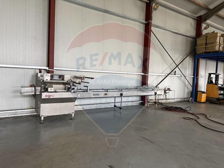 Ferma agro-industrială – 43 ha Adunații Copaceni - 5