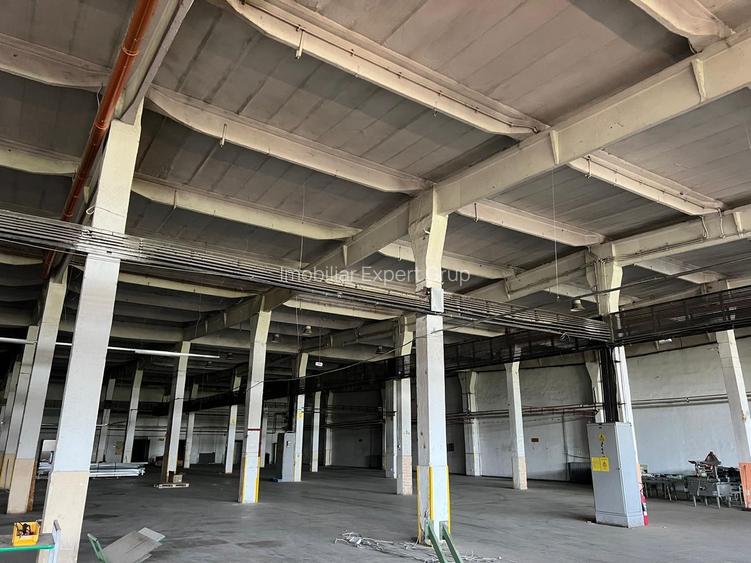 Hală industrială 3.600 mp cu acces cale ferată – Buftea - 6