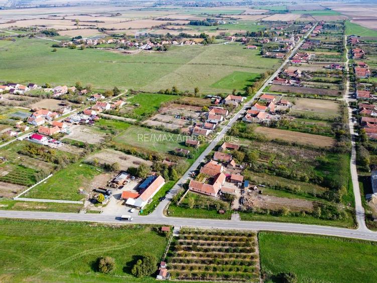 De vânzare teren cu livadă in Sârbova! - 9