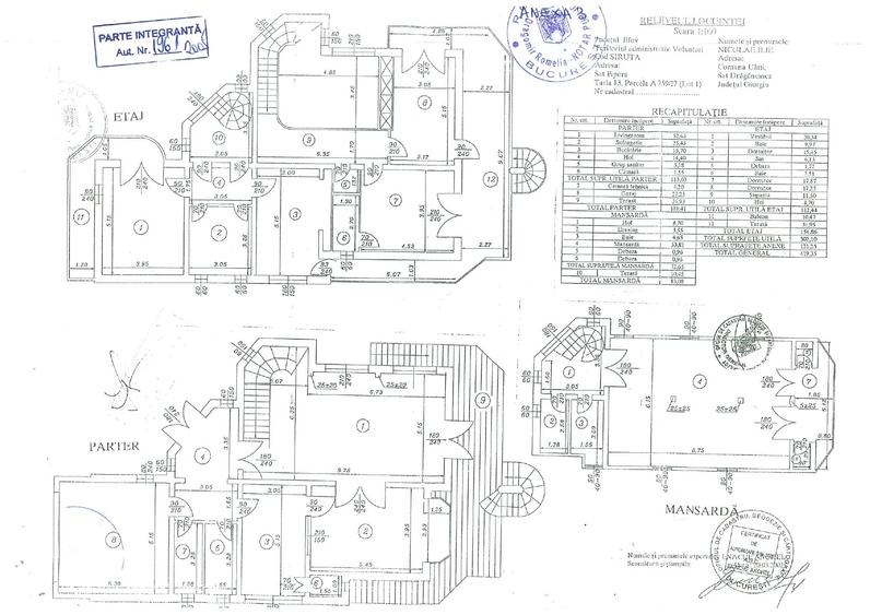 Vila deosebita Iancu Nicolae - British School - 6