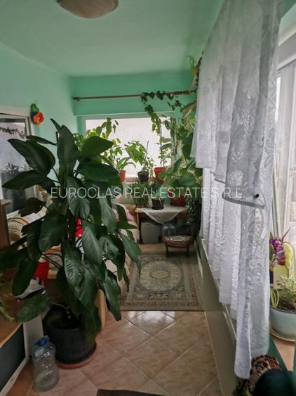 Teren 1.447 mp cu casa 5 camere - Ovidiu - 210.000 euro negociabil (Cod E1) - 14