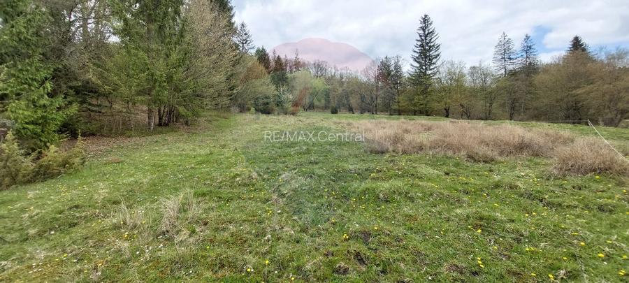 Poienita 2800mp, Covasna, zona hotel Clermont, inconjurat de padure - 10