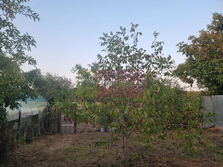 SADINA / GR - CASA P+1+M (5 CAM) DE VANZARE - 5