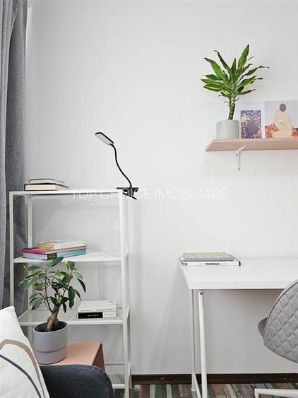 GARSONIERA IEFTINA SI BUNA - TEIUL DOAMNEI - BOILER 8/10 - INVESTITIE - 5