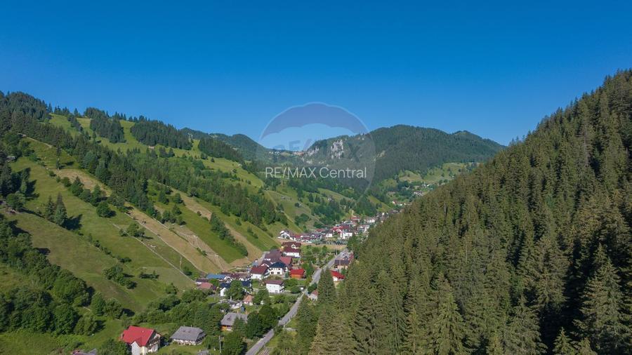 Casă de vacanta, in inima naturii, comision zero pt cumparator - 3