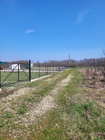 OCazie RARĂ – Teren premium lângă pădure, Izvorani! - 4