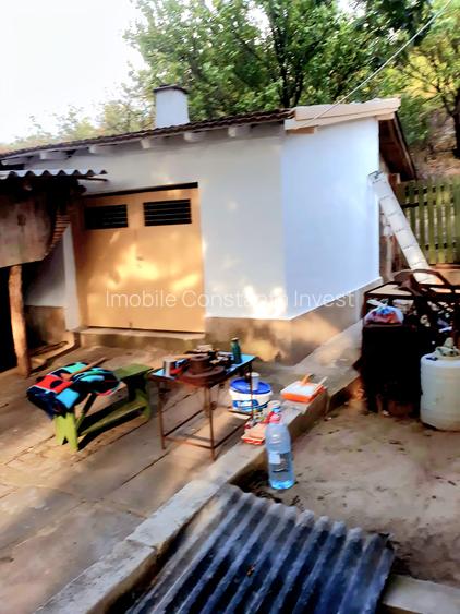 Seimenii Mari Casa 5 camere S.teren:4260 +vie+pomi fructiferi  vedere la Dunare - 16