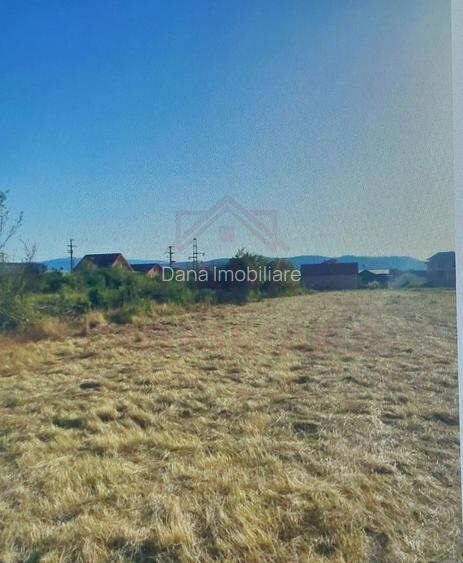 TEREN INTRAVILAN - STRADA AEROPORTULUI\ CARANSEBEȘ\JUD.CARAȘ-SEVERIN - 2