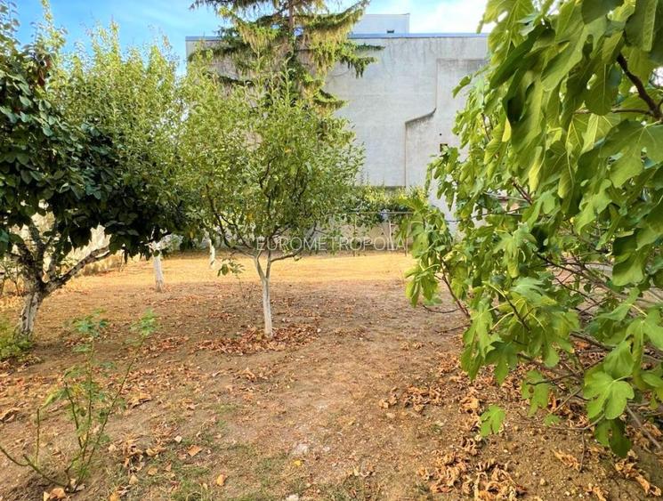 Vila Arcul de Triumf, individuala, teren 720 mp, 550 mp utili - 4