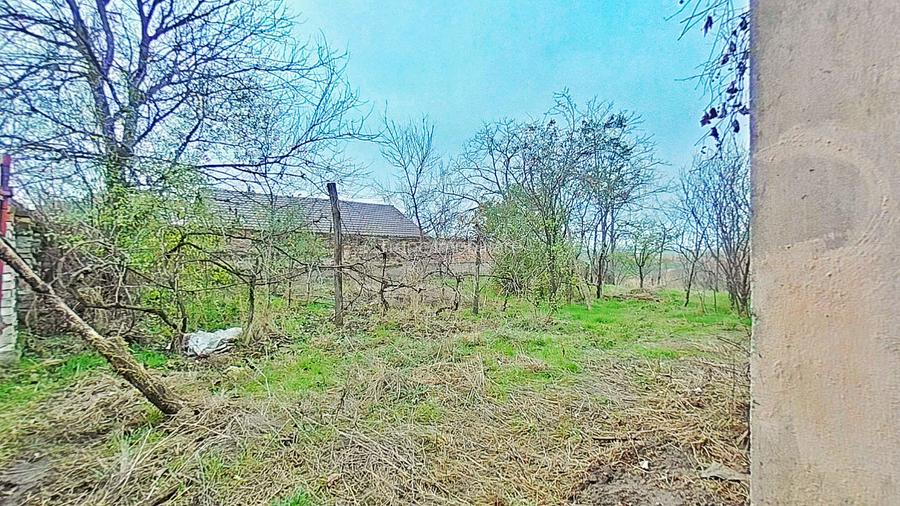 Casă cu potențial, teren generos de 1.440 mp – Secusigiu, Arad - 5