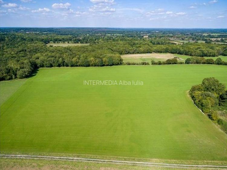 Vanzare Teren Intravilan 4400 mp CETATE Stadion, D+P+4 la asfalt toate utilitati - 4