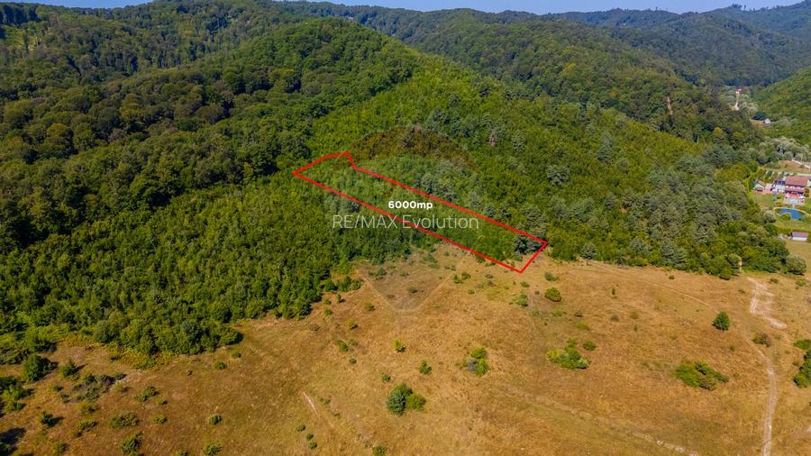 Teren 6,000mp Crizbav / Strada principala - 2