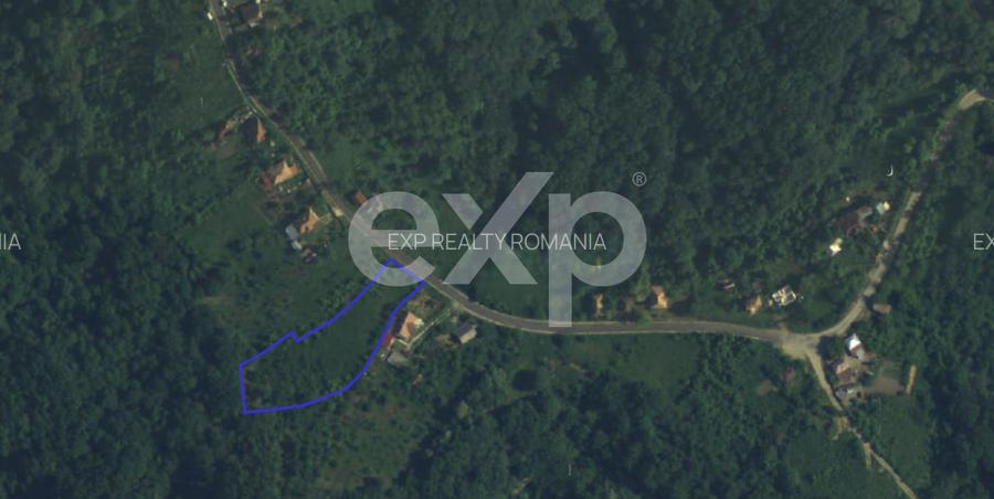 Teren intravilan 3052 mp | Băcești, Drăganu | asfalt | utilități la poartă - 5