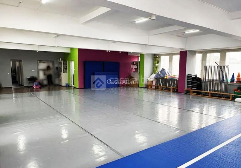 Calea Chisinaului, spatiu birouri 240mp, clasa A, disponibil imediat - 3