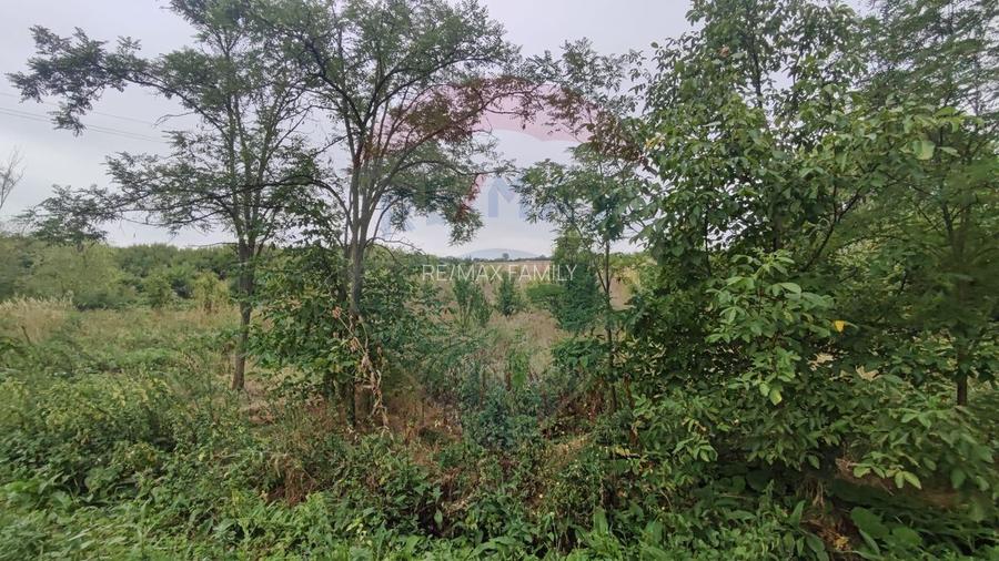 Teren 2.341 mp Uileacu de Munte front 26 ml la drum asfaltat - 15