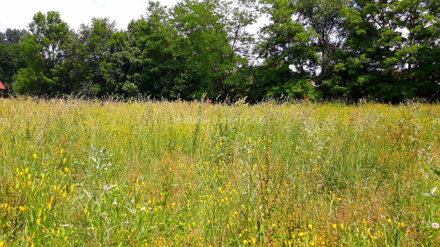 Casa Slanic Prahova  pensiune,hotel 24 camere - 10