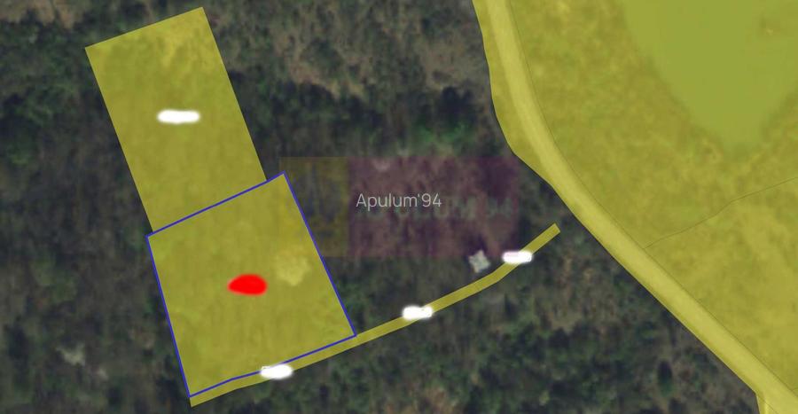 Teren intravilan de vanzare in Lunca Mare (la 10 km de Valea Doftanei) - 3