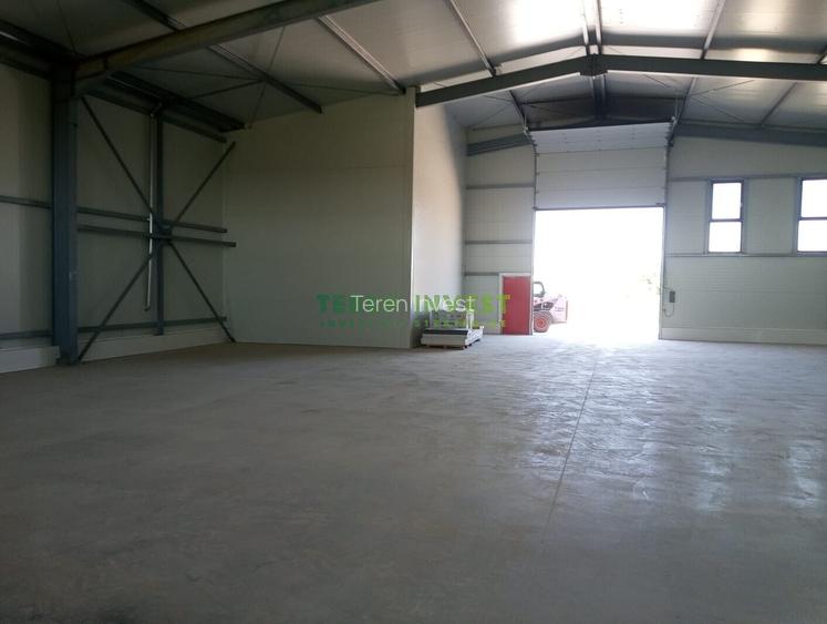 VÂNZARE HALĂ  - DN 4/ȘOS. OLTENIȚEI - 3