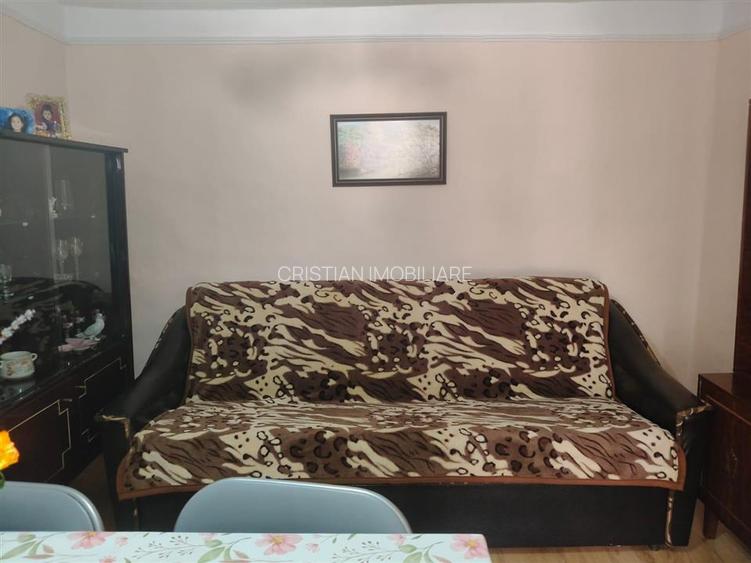 Casa 4 camere, Radu Negru, Teren - 264 mp - 5