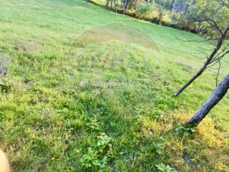 Teren 6,699mp Breb / Prelungirea x - 3