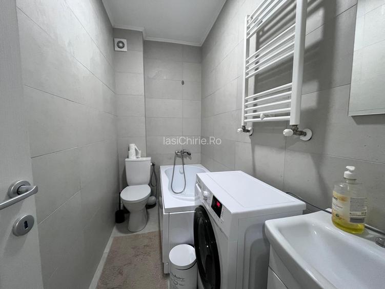 Apartament de inchiriat, o camera, decomandat, 30 mp, Lunca Cetatuii, (Astoria) - 8