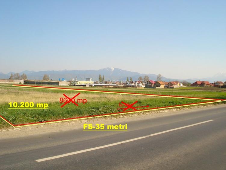 Teren cu potential - 3