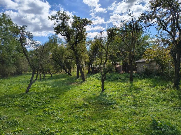 Teren intravilan 2000 mp Fieni – toate utilitatile + drum asfaltat - 2