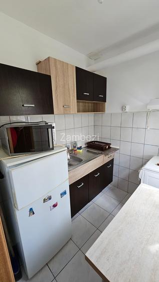 Sagului-Musicescu.Mobilat/Utilat.Igienizat! - 8