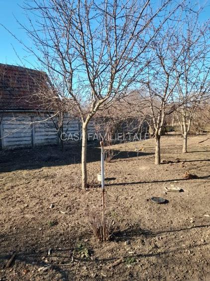 !!! 7min de centru..Teren 936 mp  in Timisoara ...150euro/mp !!!! - 3