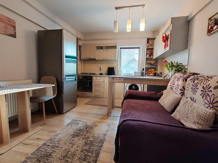 Apartament 2 camere Eremia Grigorescu -renovat, mobilat, centrala - 5