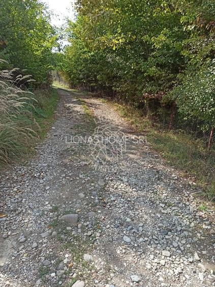 Teren  42,200 mp (4,22 hectare)-Parcelabil-investitie-Valea Jelnei - 3