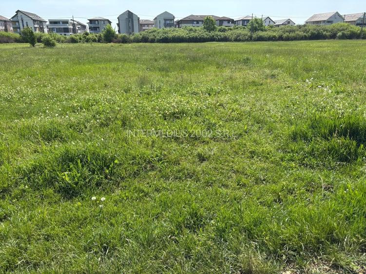 Teren 1239 mp front 29 in Aradul nou - 5