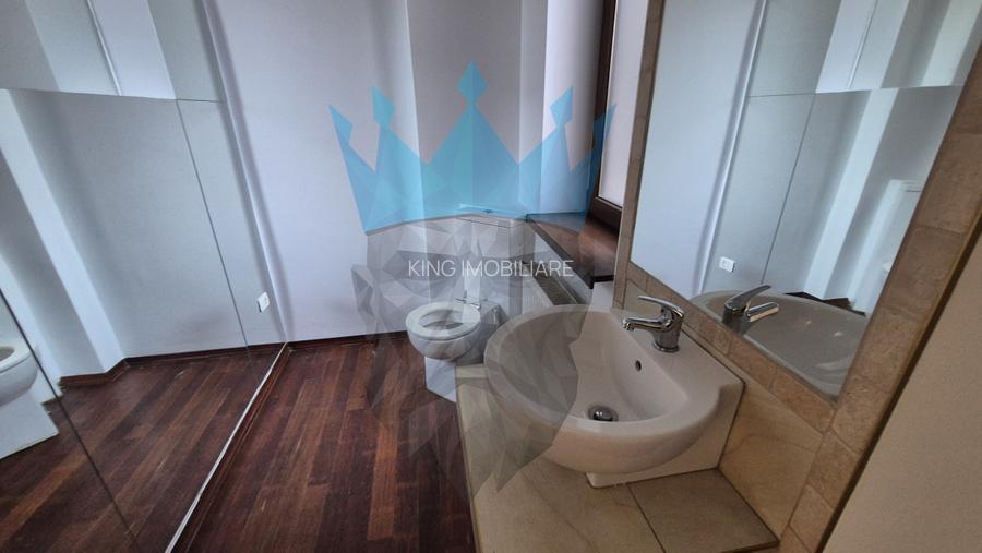 Spatiu Birou Gradina Icoanei Dacia Bucuresti - 7