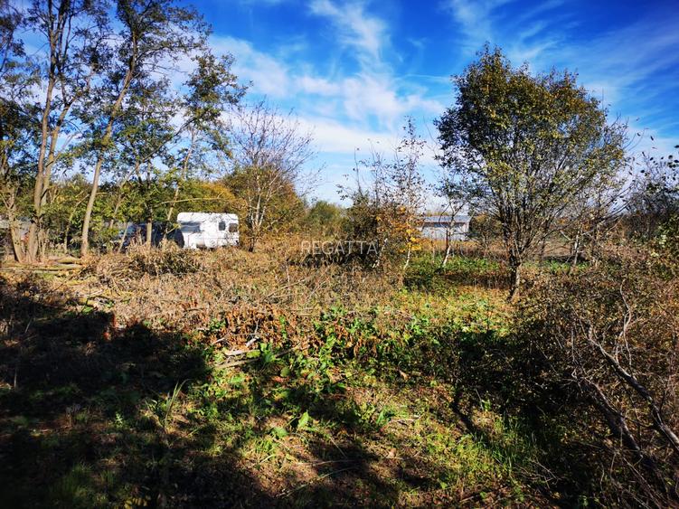 Teren Generos cu Casa in Gruiu - Snagov - 5
