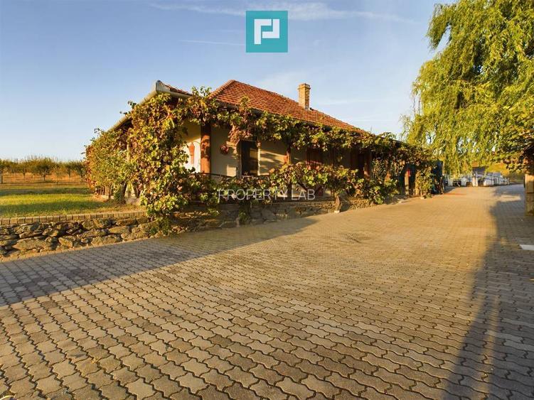 Pivnițele Birăuaș D.O.C Miniș - RATE FĂRĂ DOBÂNDĂ - 29