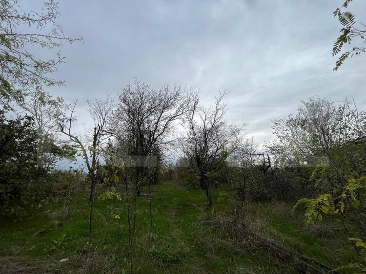 Teren 1895 mp, in Carcea, front 21 ml, toate utilitatile - 2