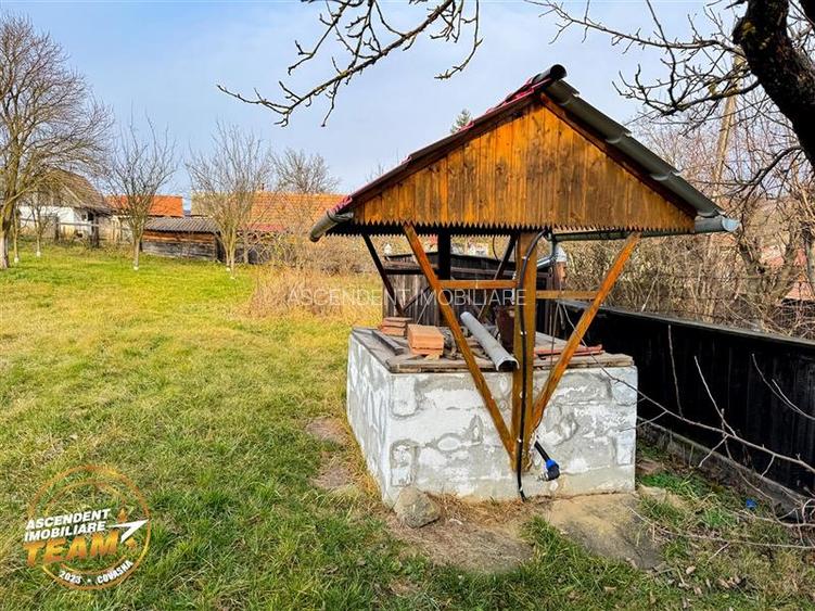 FILM! 5.000mp teren intravilan cu casuta rustica, Dalnic, Covasna - 34