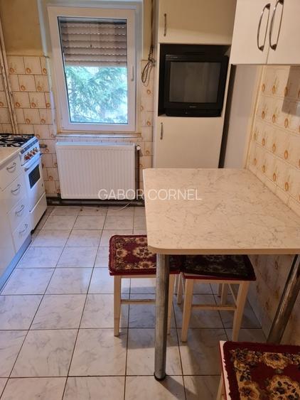 Apartament 3 camere , etajul 1 pe soare mobilat in zona centrala , luxos si fain - 2
