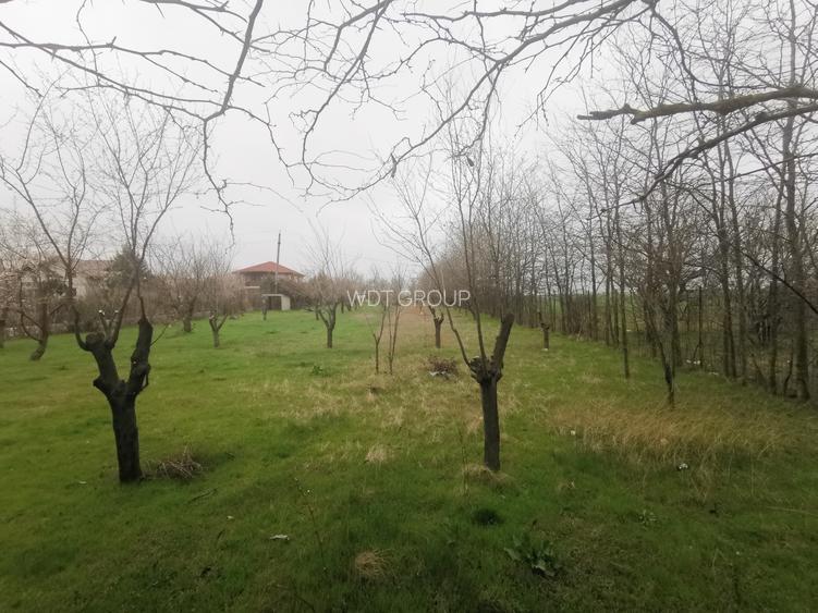 Teren Intravilan Techirghiol 4350mp - 2