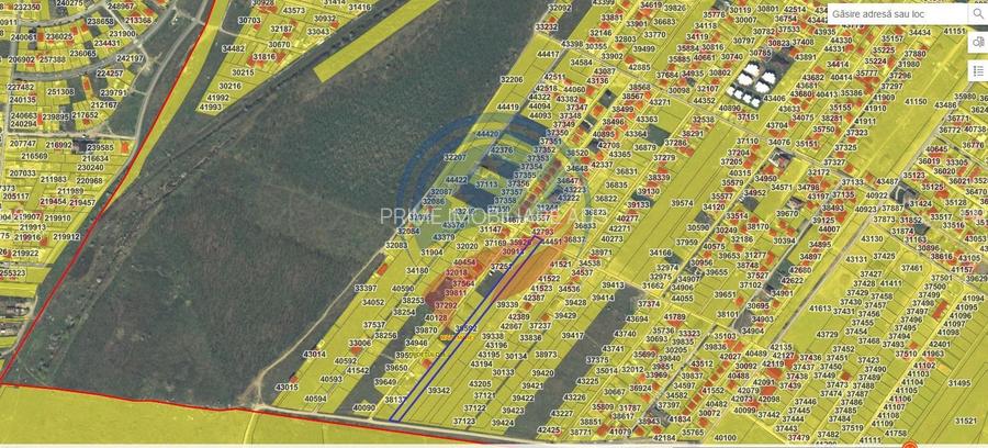 Teren intravilan in spate la Damila, spre padure, 95 euro/mp - 2