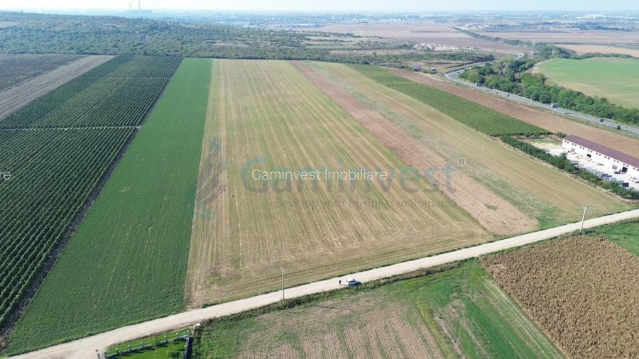 Teren intravilan de vanzare, 66400 mp, langa Oradea, Bihor  - 2