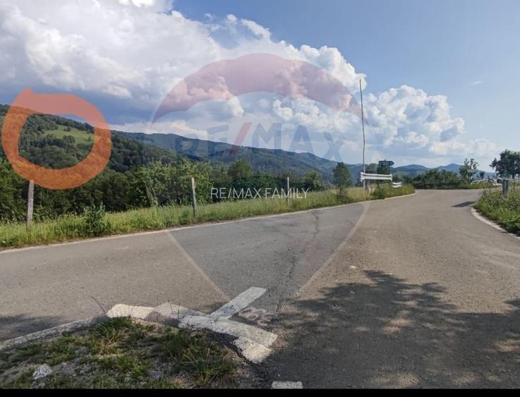 Teren 130000 mp extravilan, faneata si padure, Munteni - Bulz, Negreni - 10