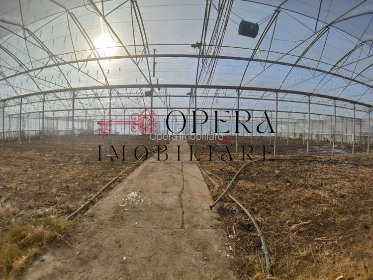 Teren intravilan 5000mp+Cladire265mp + Sera(2500mp), Rediu Aldei-Aroneanu - 7