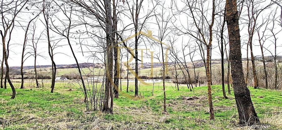 Terenuri extravilane de vânzare – Vizma & Crivobara, comuna Secaș, jud. Timiș - 7