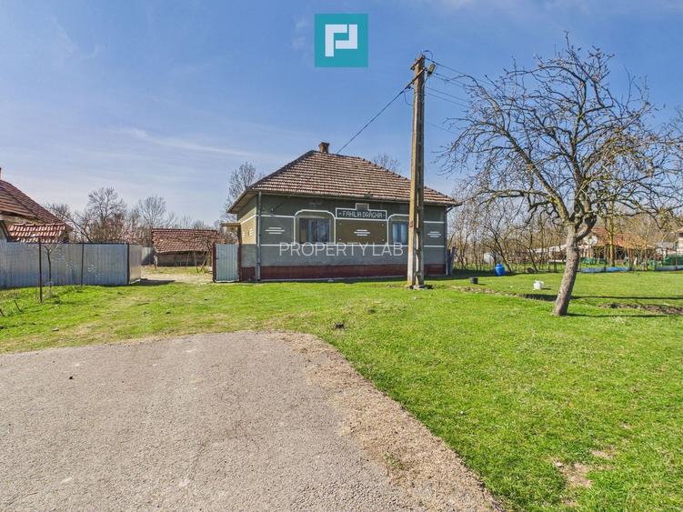 Casă cu teren de 6000 mp în Duboz, Timiș - 10