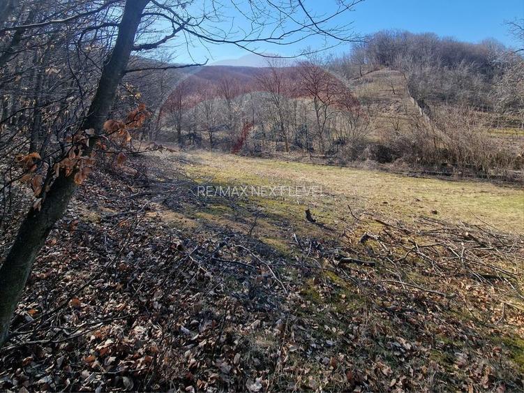 Teren de Vânzare în Pâncești (Sascut) - 7