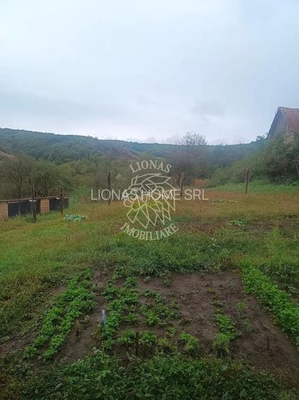 2 Case 100 mp -teren 3576mp-livada-garaj-Enciu 37 km de Bistrita - 7