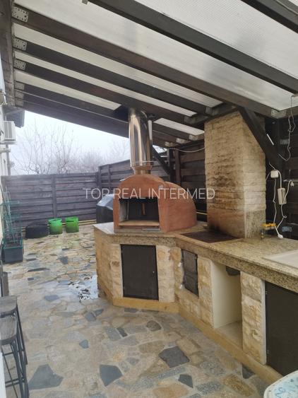Proprietate deosebită Făget - 2