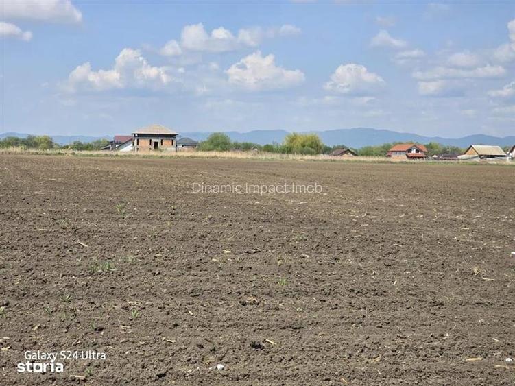 Oportunitate de investiție cu Exclusivitate! BOD, teren agricol! - 8