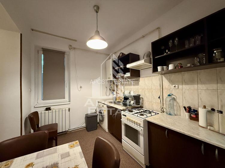 Apartament la casa, 2 camere, 120mp teren, zona Centrala Timisoara - 6